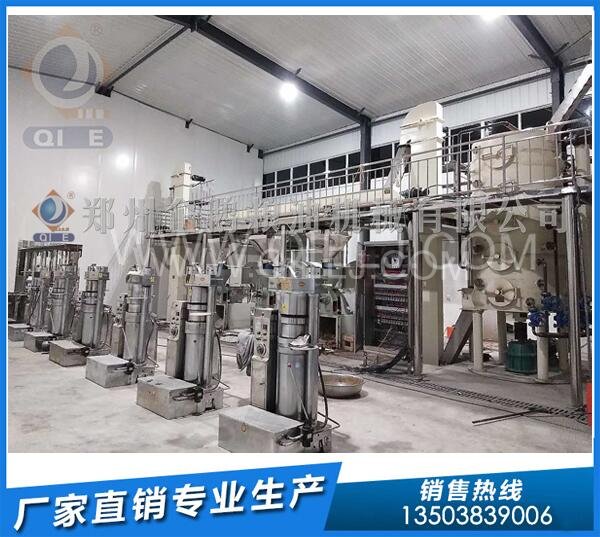 企鹅榨油机:山东用户核桃油压榨精炼设备发货(图3) 螺旋榨油机