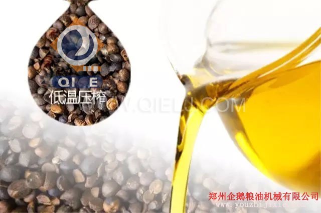 油脂设备-茶籽油低温压榨设备以及工艺介绍(图3)