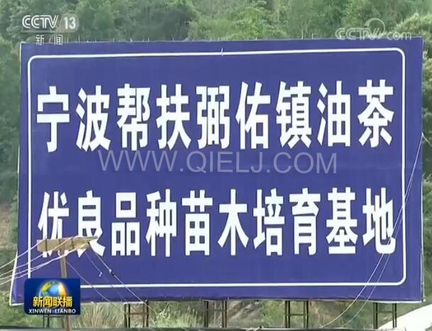 新闻联播决战决胜脱贫攻坚之油茶树串起的产业链(图2) 新闻联播决战决胜脱贫攻坚之油茶树串起的产业链(图2)