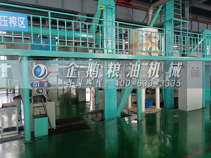 企鹅牌茶籽油双螺杆榨油机，用心制造获得客户认可(图2)