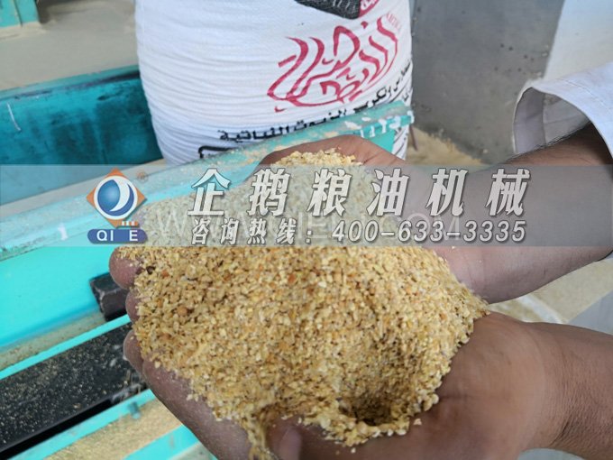 米糠油精炼设备,企鹅机械不断创新提升工艺效果(图2) 米糠油精炼设备,企鹅机械不断创新提升工艺效果(图2)